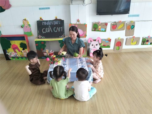 Đế Tài : Nhận Biết Qủa Cam ( Nhóm Nhà Trẻ 24 - 36 tháng)
