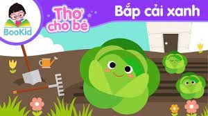 Thơ   bắp cải xanh 