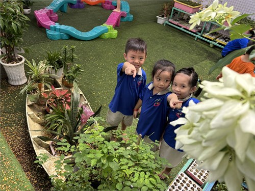 Hoạt động ngoài trời của các bé