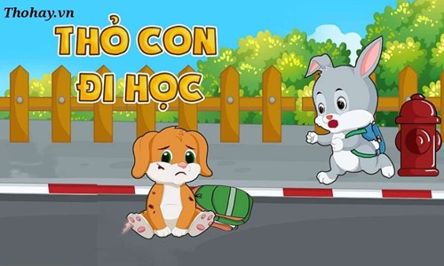 Câu chuyện   thỏ con đi học 