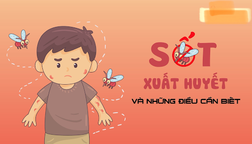 Cách phòng tránh bệnh Sốt xuất huyết 🦟🦟🦟
