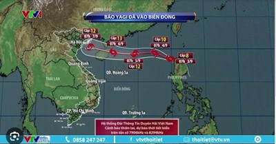 Các biện pháp phòng tránh khi bảo đổ bộ