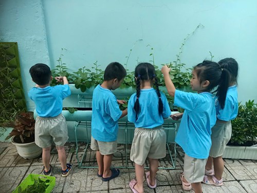 Trường:mầm non 5 tham gia clip: hành động xanh -trường học xanh