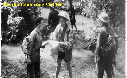 Bài thơ: Cảnh rừng Việt Bắc khối Mầm