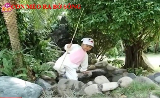 Con mèo ra bờ sông
