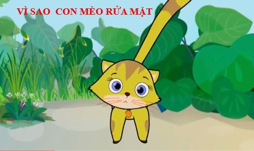 Vì sao  con mèo rửa mặt
