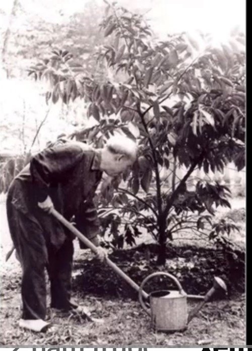 Ảnh đại diện
