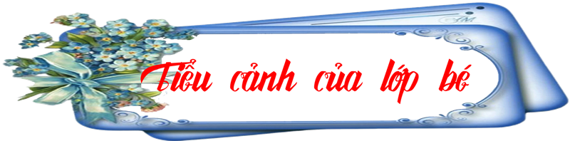 Tiểu canh của lớp bé