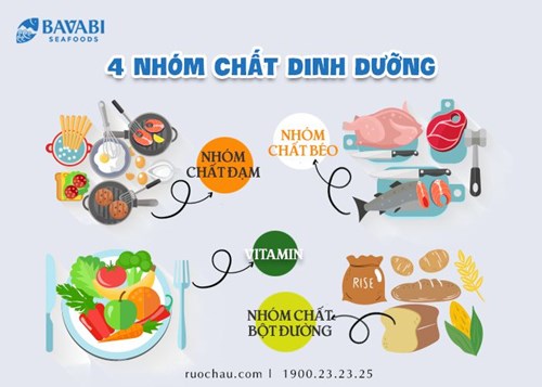 Dinh dưỡng cho trẻ mầm non