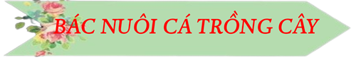Bác nuôi cá trồng cây