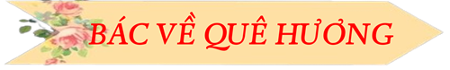 Bác về quê hương