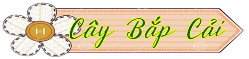 Bài hát cây bắp cải