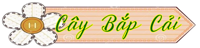 Bài hát cây bắp cải