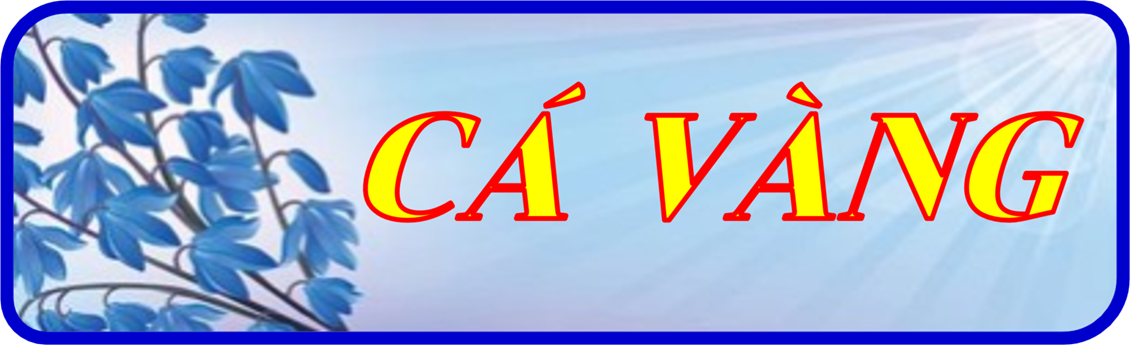 Thơ cá vàng