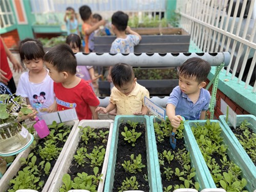 Hoạt đông lao động của các bé lớp Mầm 1 tại vườn cây , các bé cùng cô quan sát vườn cây