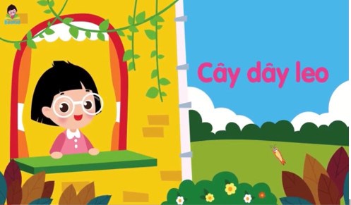 Dây leo