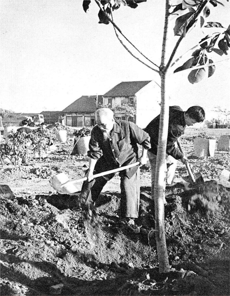 Ảnh đại diện