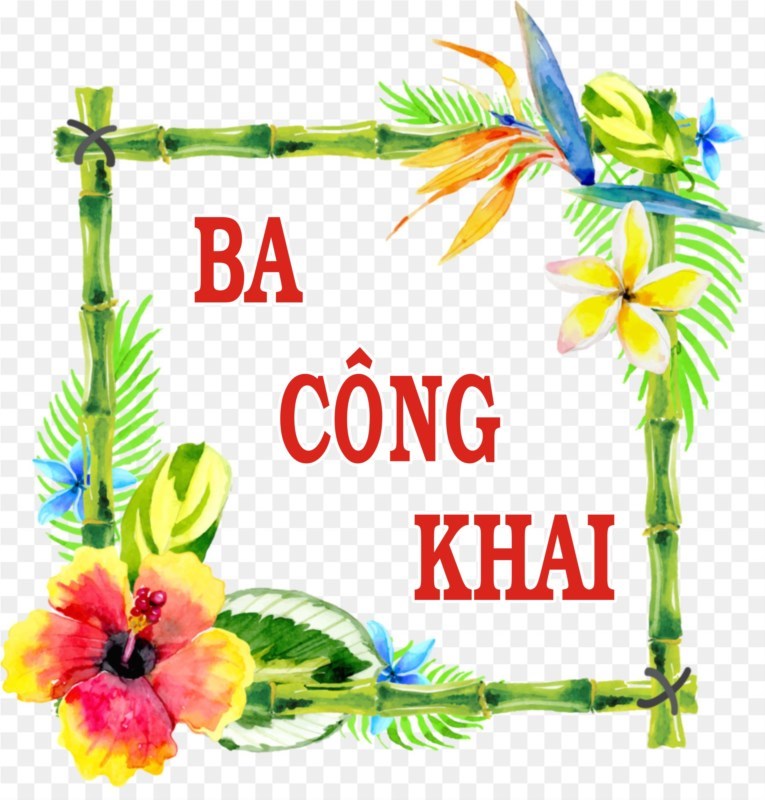 Quyết toán thu - chi nguồn nsnn, nguồn khác năm 2023