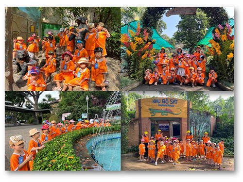 Các bé Trường Mầm non Phường 8 Tham quan Thảo Cầm Viên