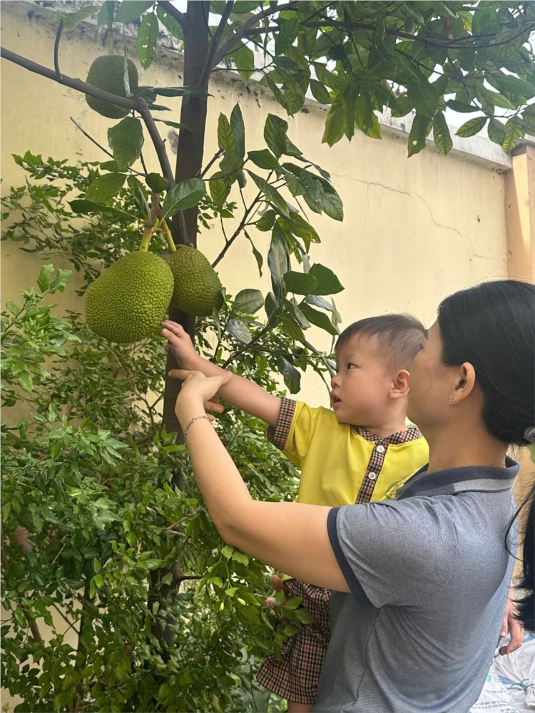 Ảnh đại diện