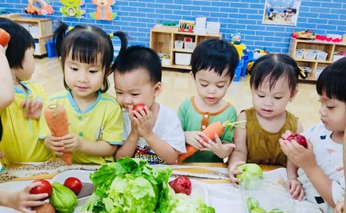 Các bé nhà trẻ vui - học nhận biết các loại rau, củ, quả.