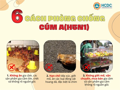 6 cách phòng, chống cúm A(H5N1)