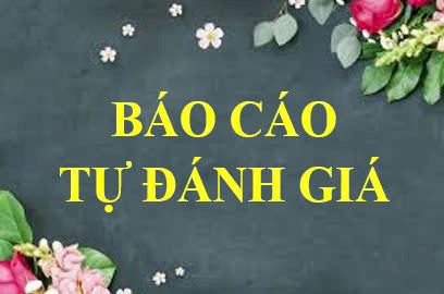Báo cáo tự đánh giá