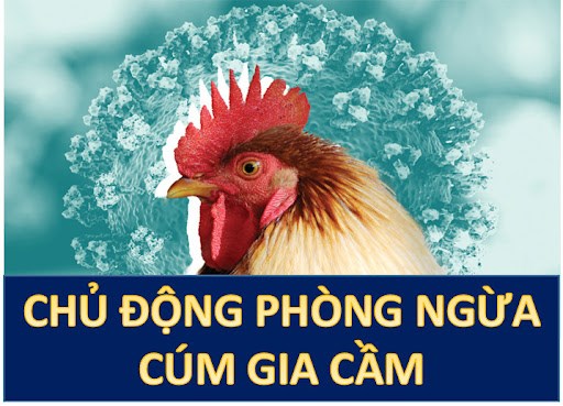Chủ động phòng ngừa cúm gia cầm
