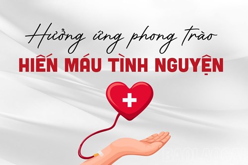 Hiến máu tình nguyện năm 2024