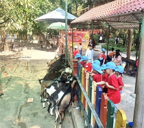 Hoạt động trải nghiệm tham quan Thảo Cầm Viên
