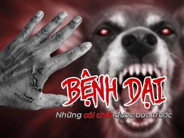 Bệnh Dại ở người, không nên chủ quan và cách phòng bệnh