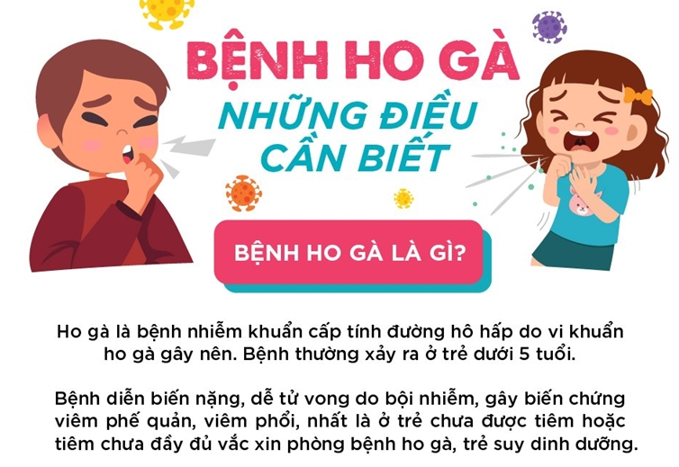 Bệnh ho gà và những điều cần biết