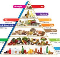 Nhu cầu dinh dưỡng khuyến nghị