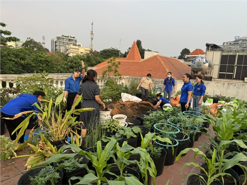 Chi Đoàn Trường Mầm Non Hoa Mai Q3 thực hiện công trình thanh niên năm học 2023-2024.