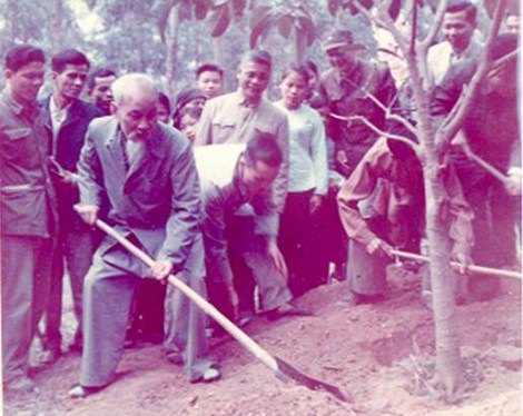 Ảnh đại diện