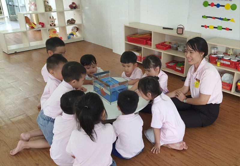 Giáo án Quan sát con cá lớp Mầm