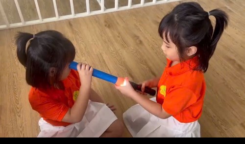 Giáo án   Tìm hiểu quả trứng gà  lớp Lá