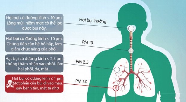 Ảnh đại diện