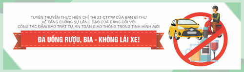 Trường mầm non hoàng anh tuyên truyền về  tuân thủ luật lệ giao thông năm 2024