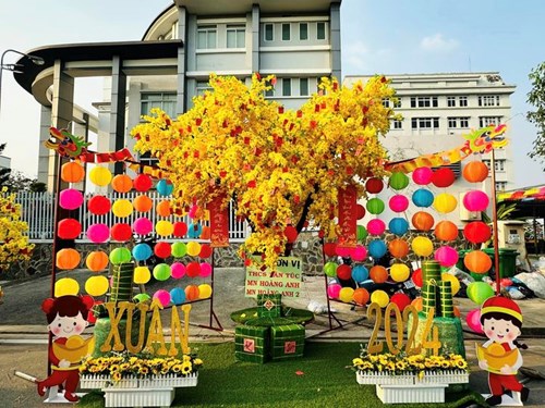 Hội thi thiết kế và trang trí cây mai vàng nhân dịp tết nguyên đán giáp thìn 2024