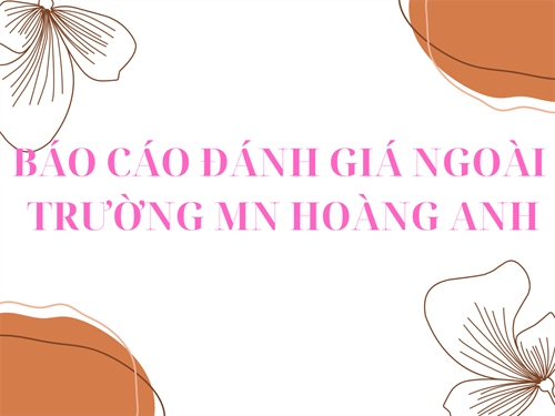 Báo cáo đánh giá ngoài