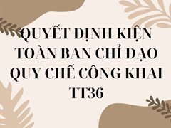 Quyết định kiện toàn ban chỉ đạo thực hiện qui chế công khai tt 36/2017/tt- bgdđt
