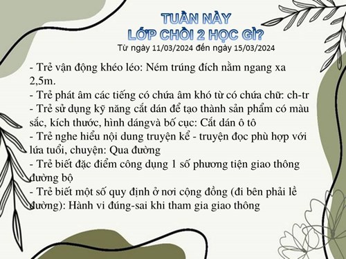 Kế hoạch tuần 2 tháng 3 năm 2024 lớp Chồi 2