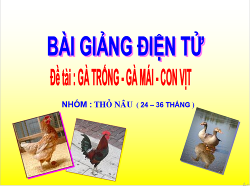 Con gì biến mất
