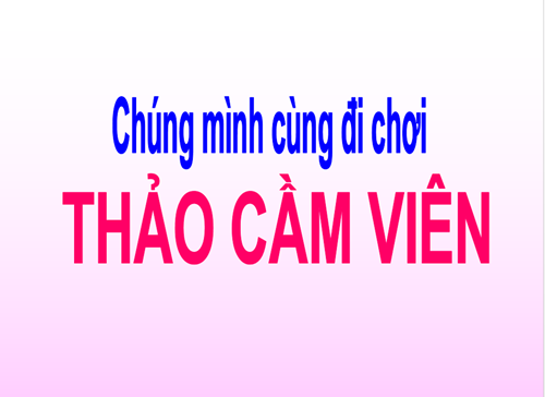 Một số con vật sống trong rừng