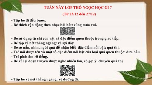 Kế hoạch chăm sóc giáo dục lớp Thỏ Ngọc từ 23/12/2024 đến 27/12/2024