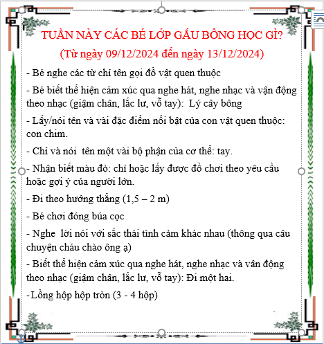 Kế hoạch chăm sóc giáo dục lớp Gấu Bông từ ngày 09/12/2024 đến 13/12/2024