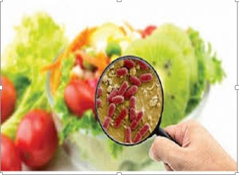 Tránh ngộ độc thức ăn trong kỳ nghỉ lễ và thời tiết nắng nóng.