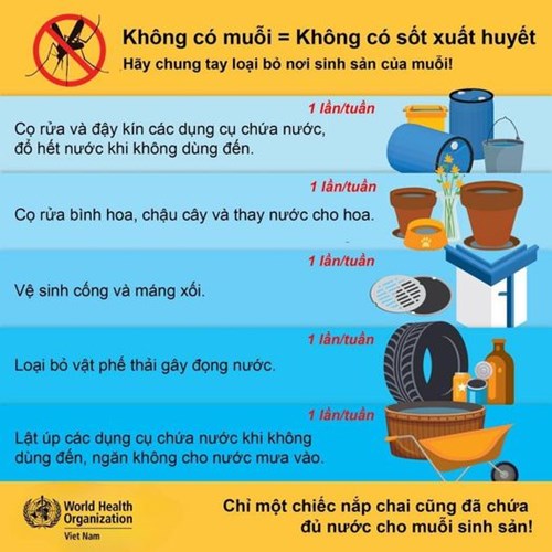 🔴 Hưởng ứng ngày ASEAN Phòng chống Sốt xuất huyết!