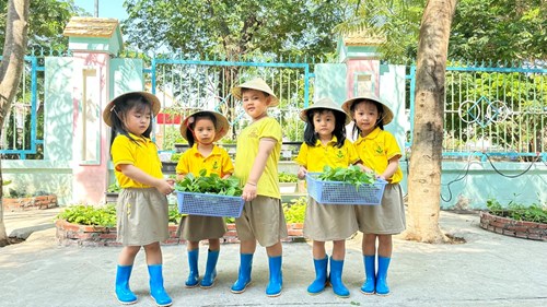 Bé thu hoạch rau